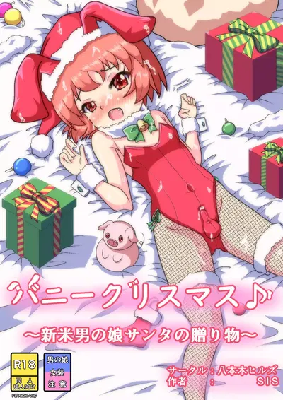 Bunny Christmas - Hentai Gallery