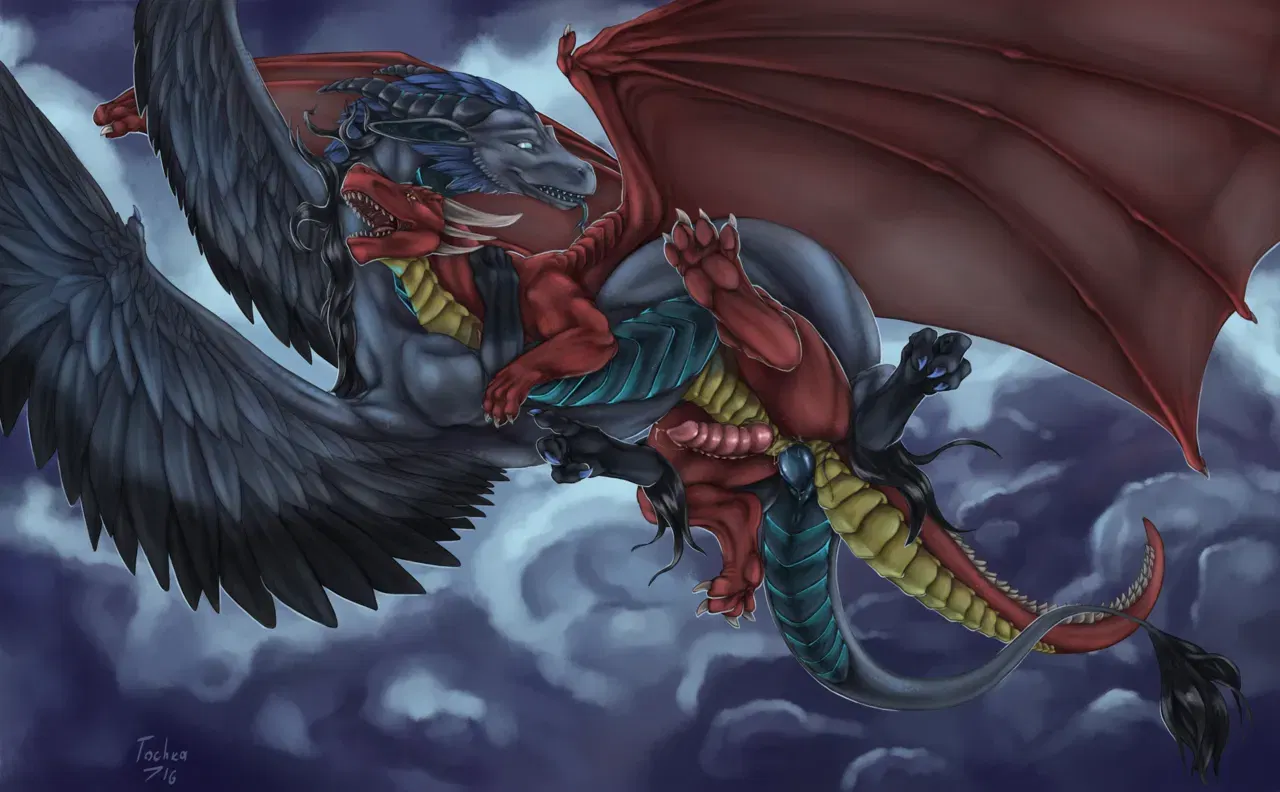 Image #114