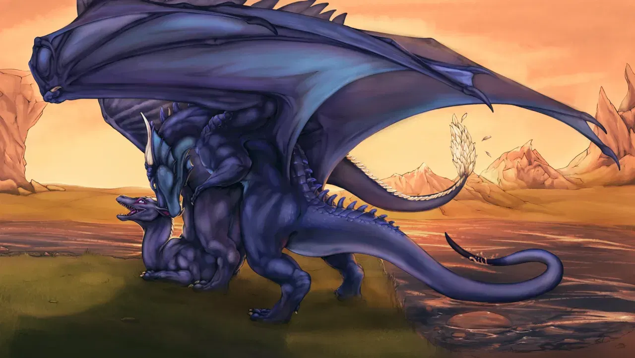 Image #16