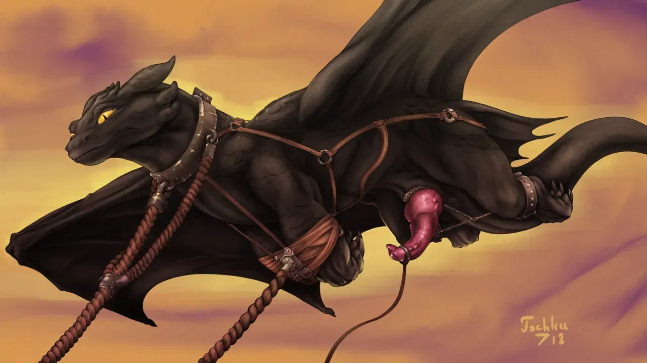 Image #211