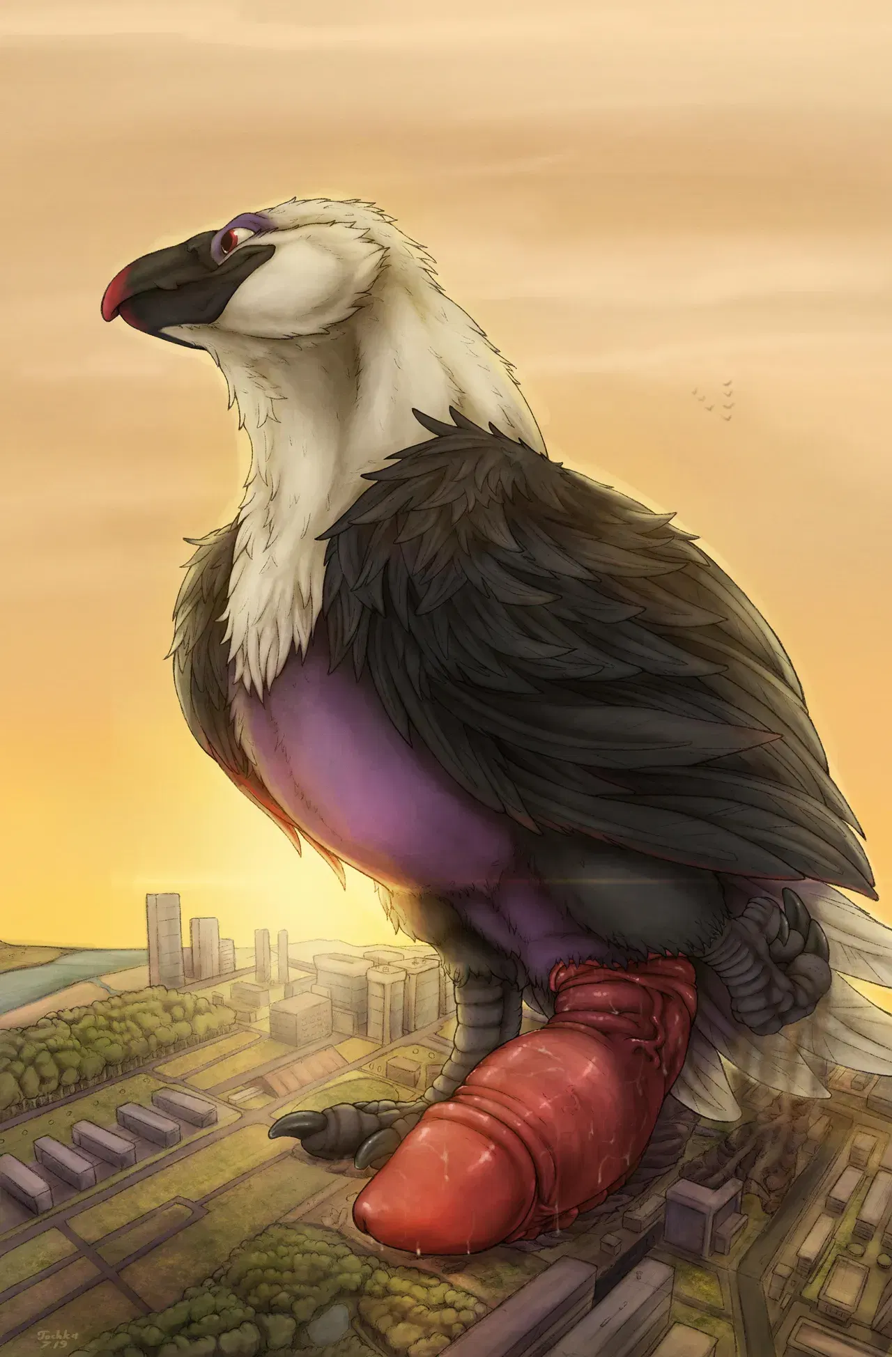 Image #25