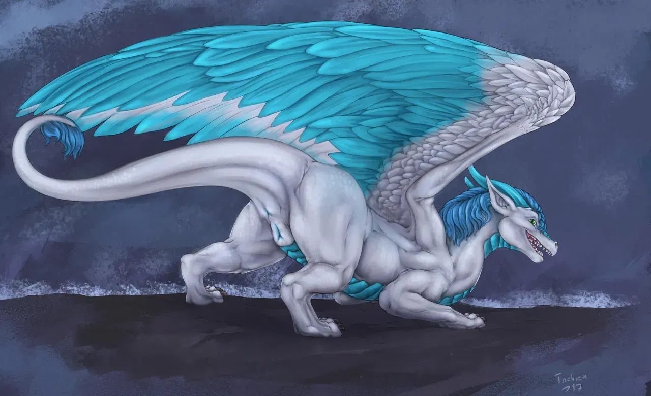 Image #7