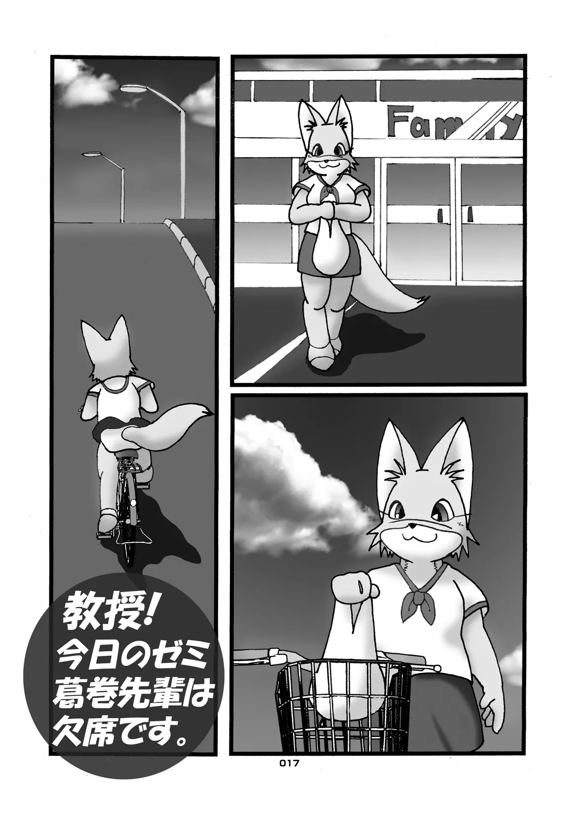 Image #16