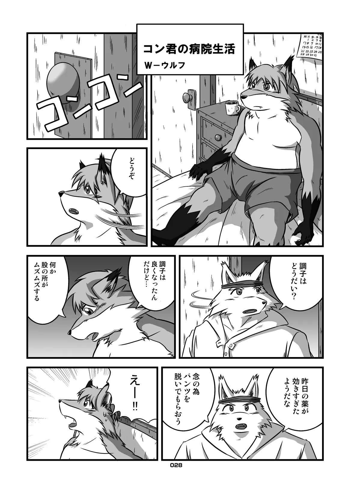 Image #27
