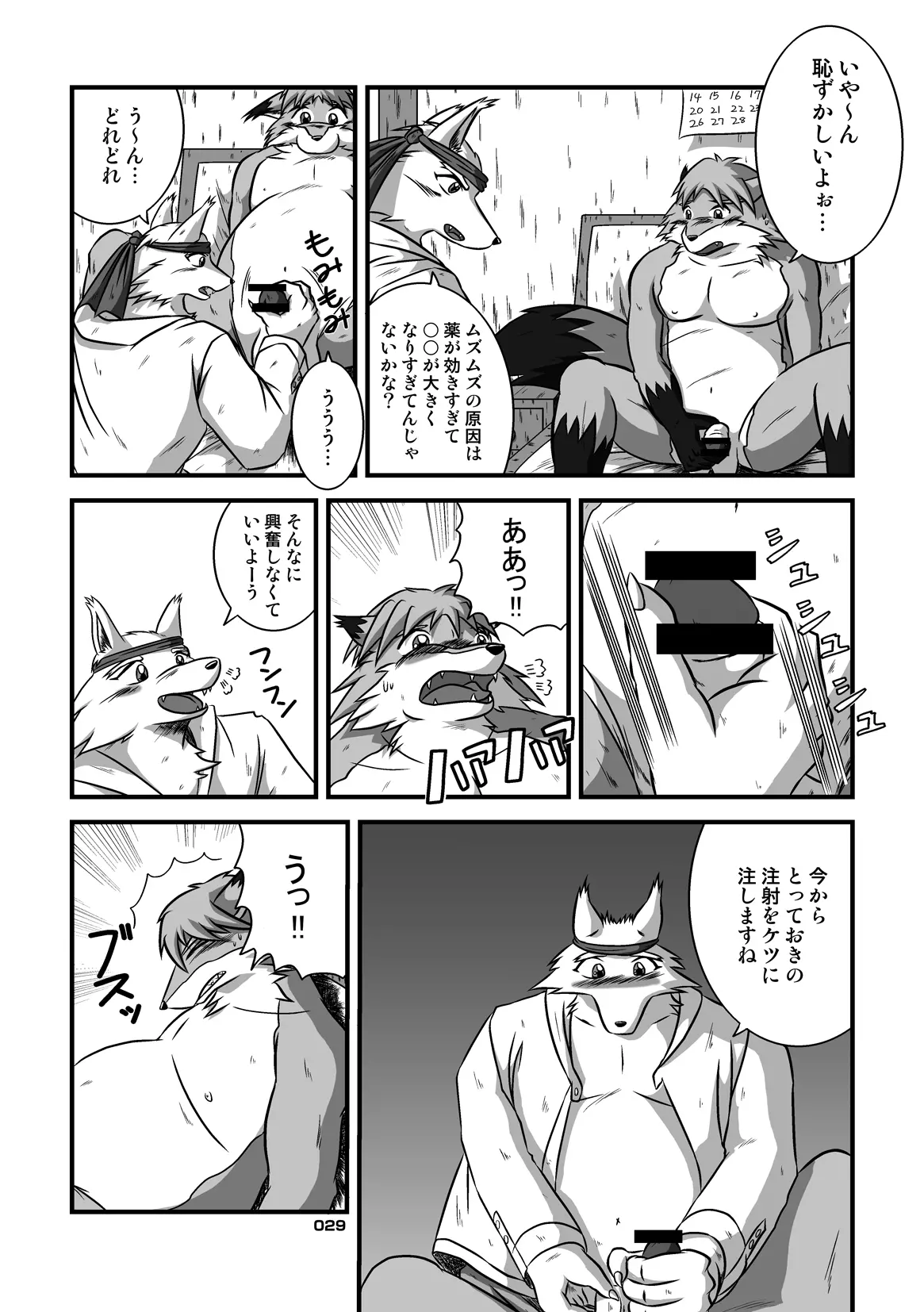 Image #28