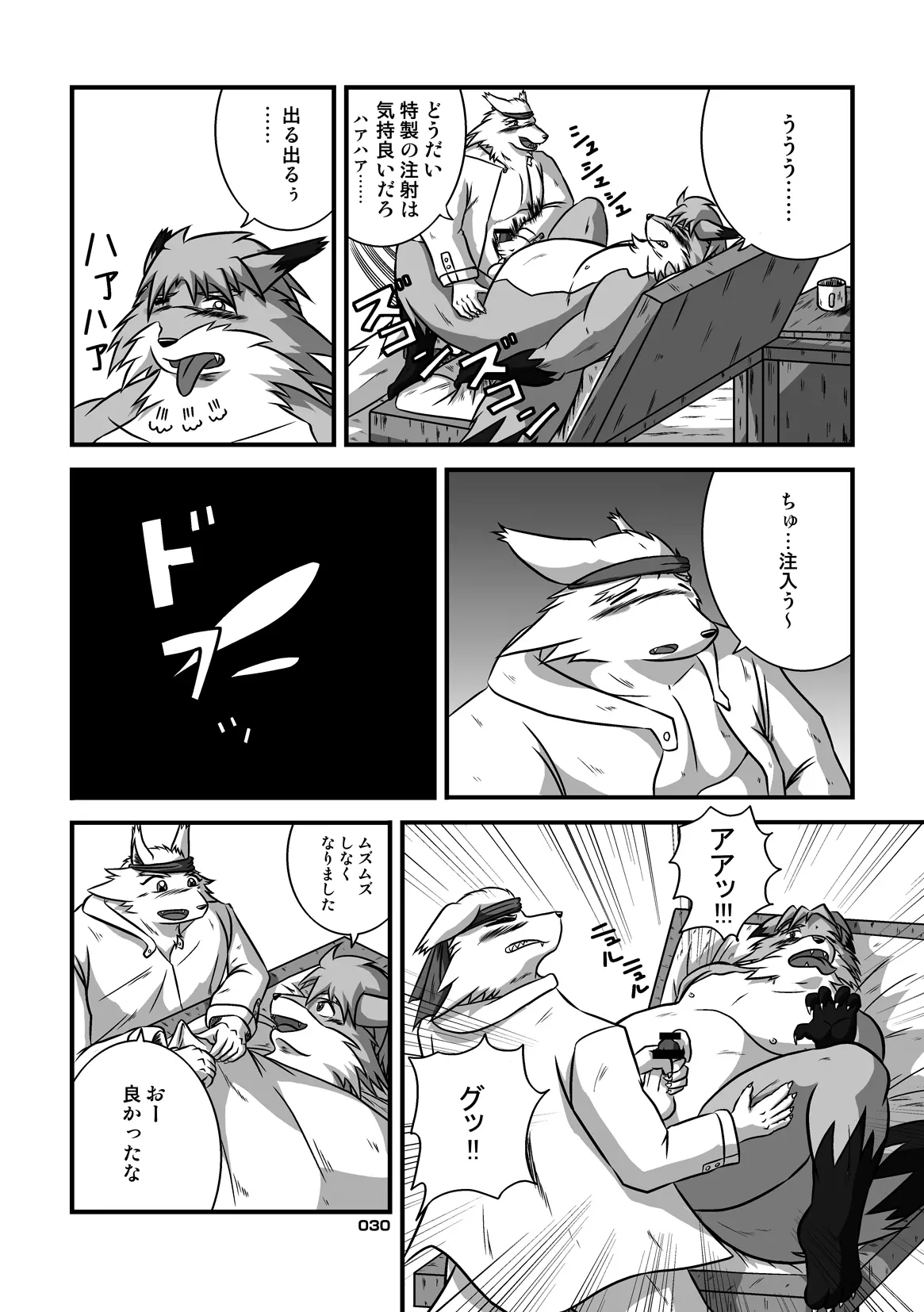 Image #29