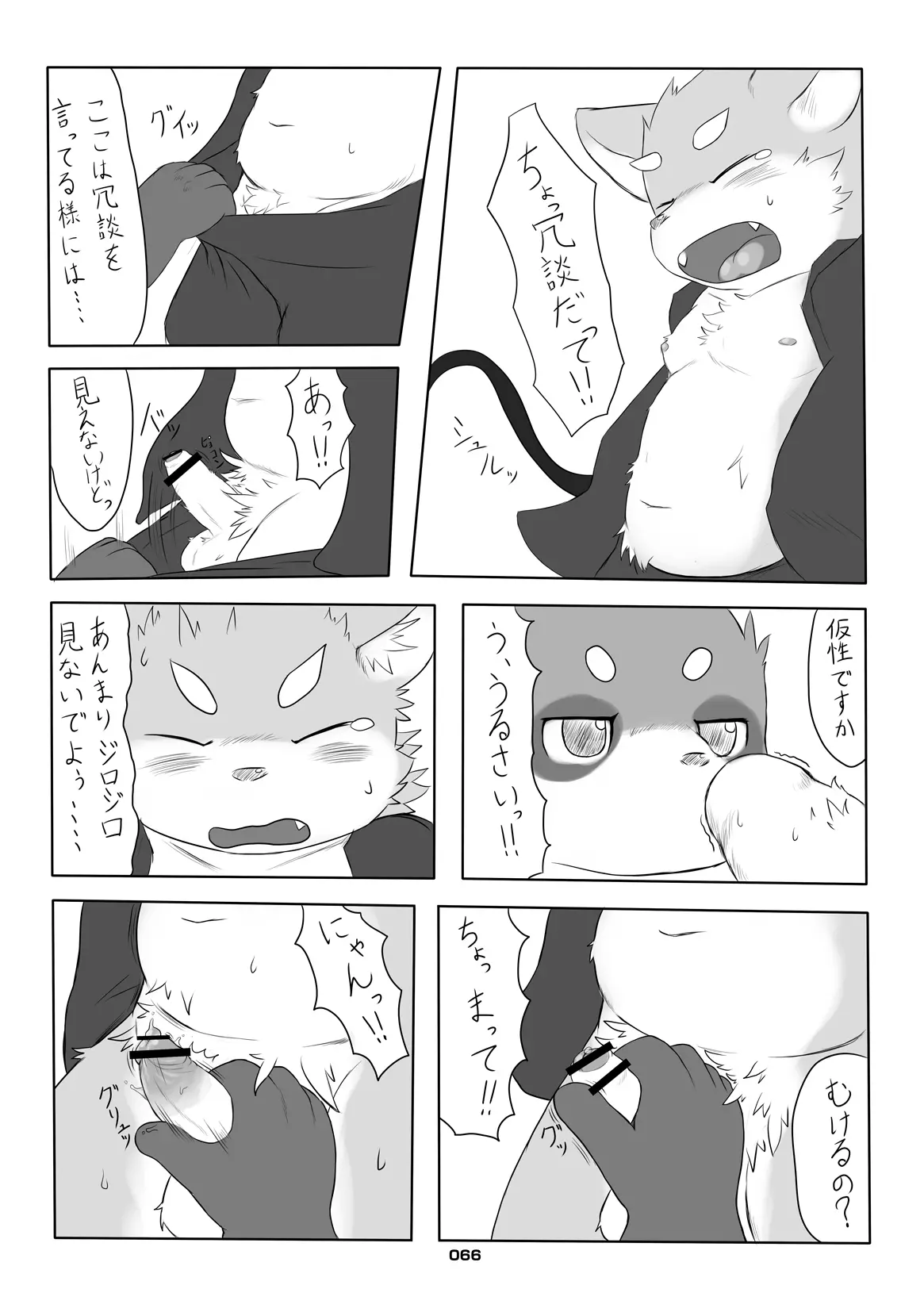 Image #65