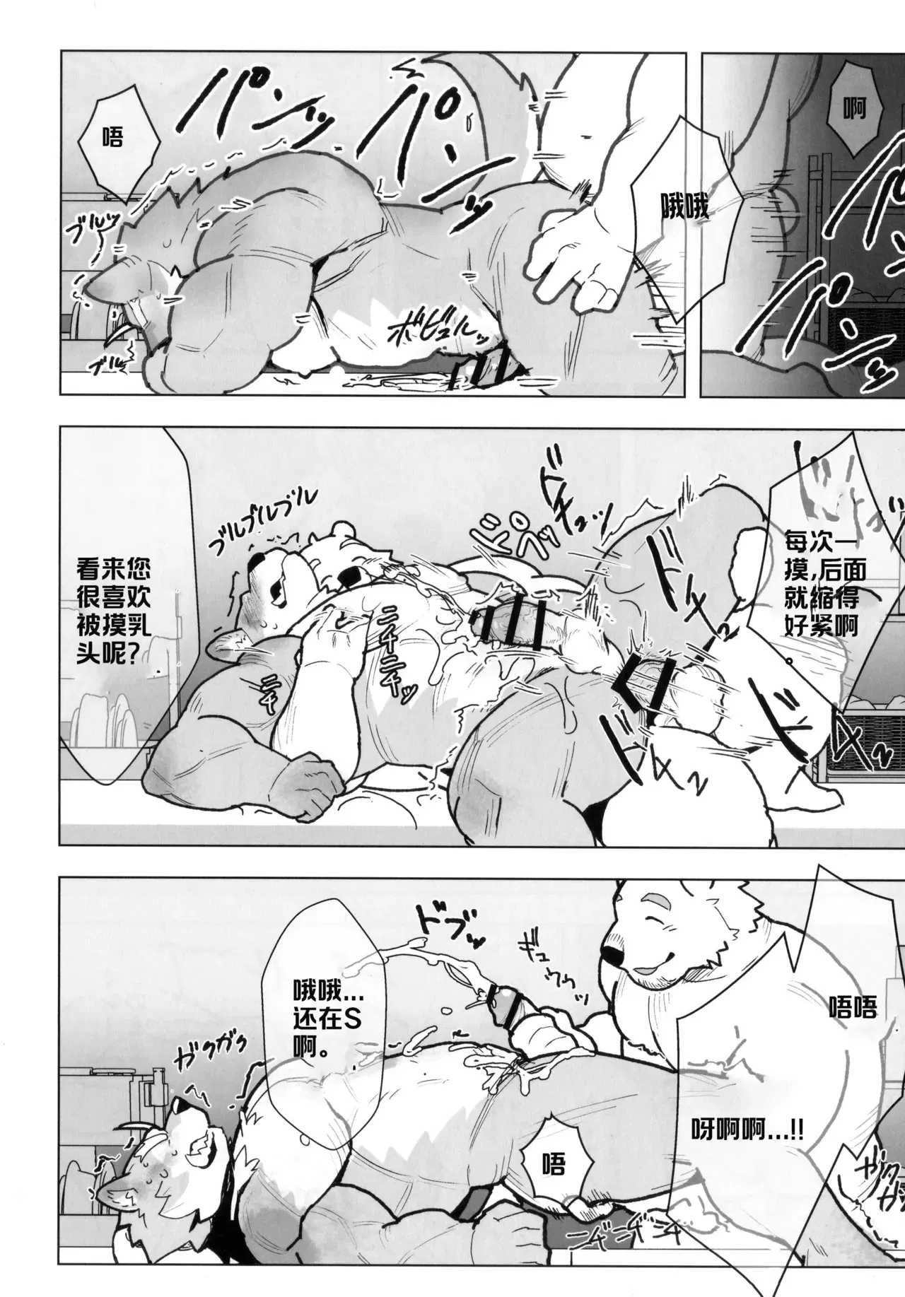 Image #19