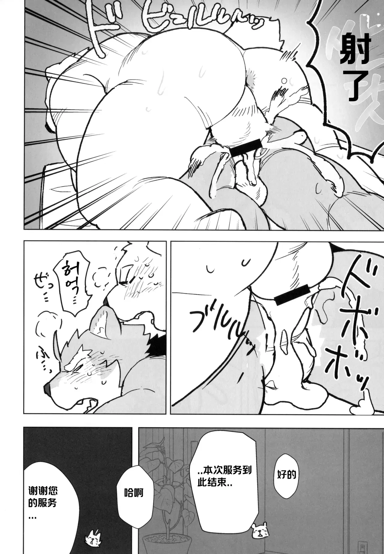 Image #21