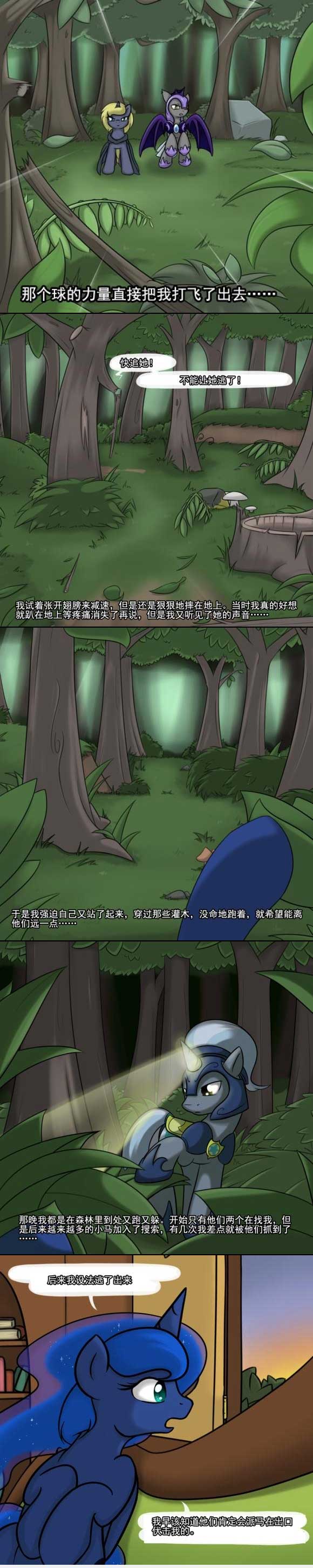 Image #11