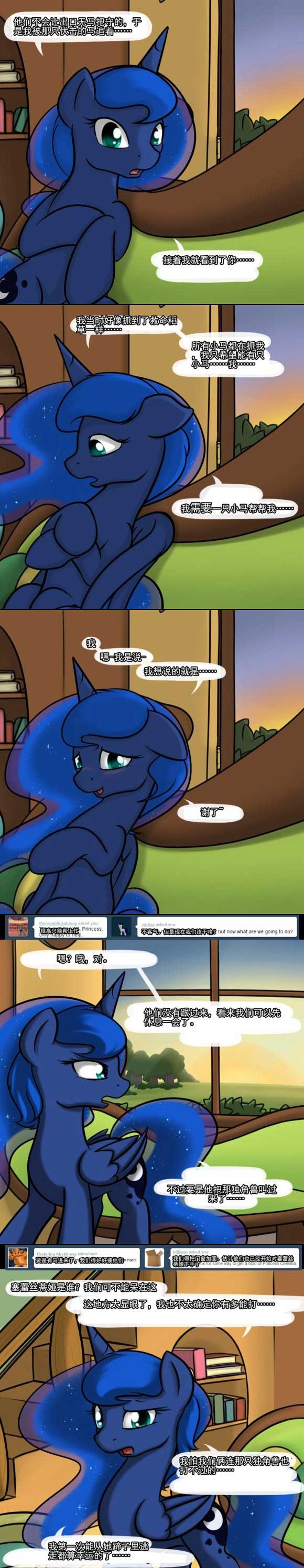 Image #12