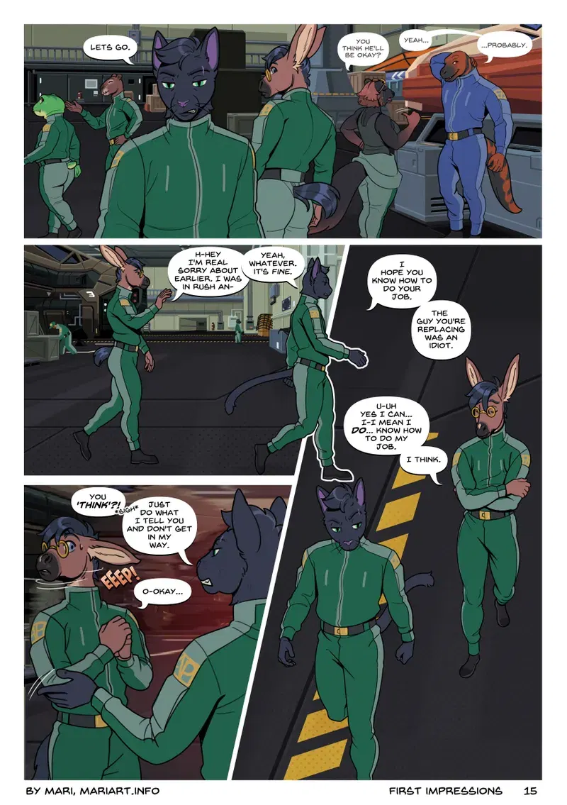 Image #15