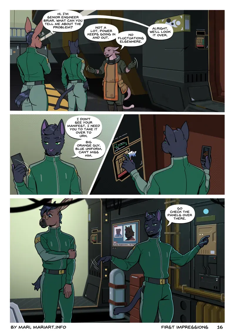Image #16