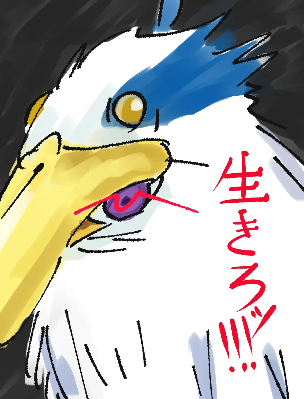 Image #117