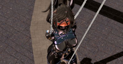 [Ta-chan] Treinamento de caminhada da Ponygirl - Galeria Hentai