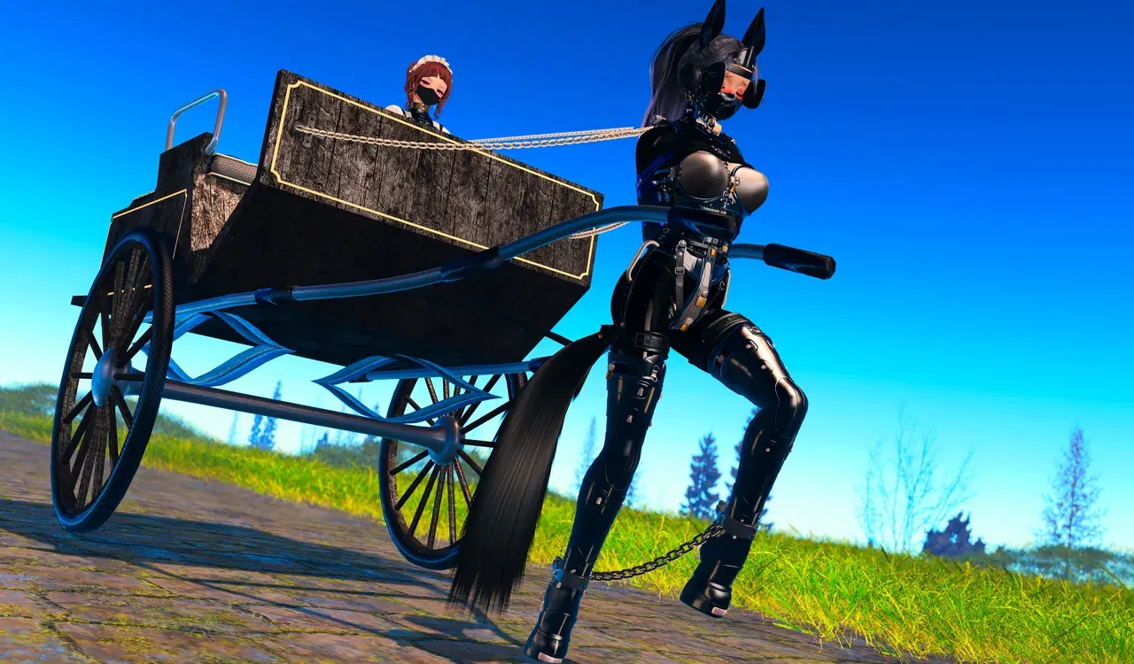 Image #117