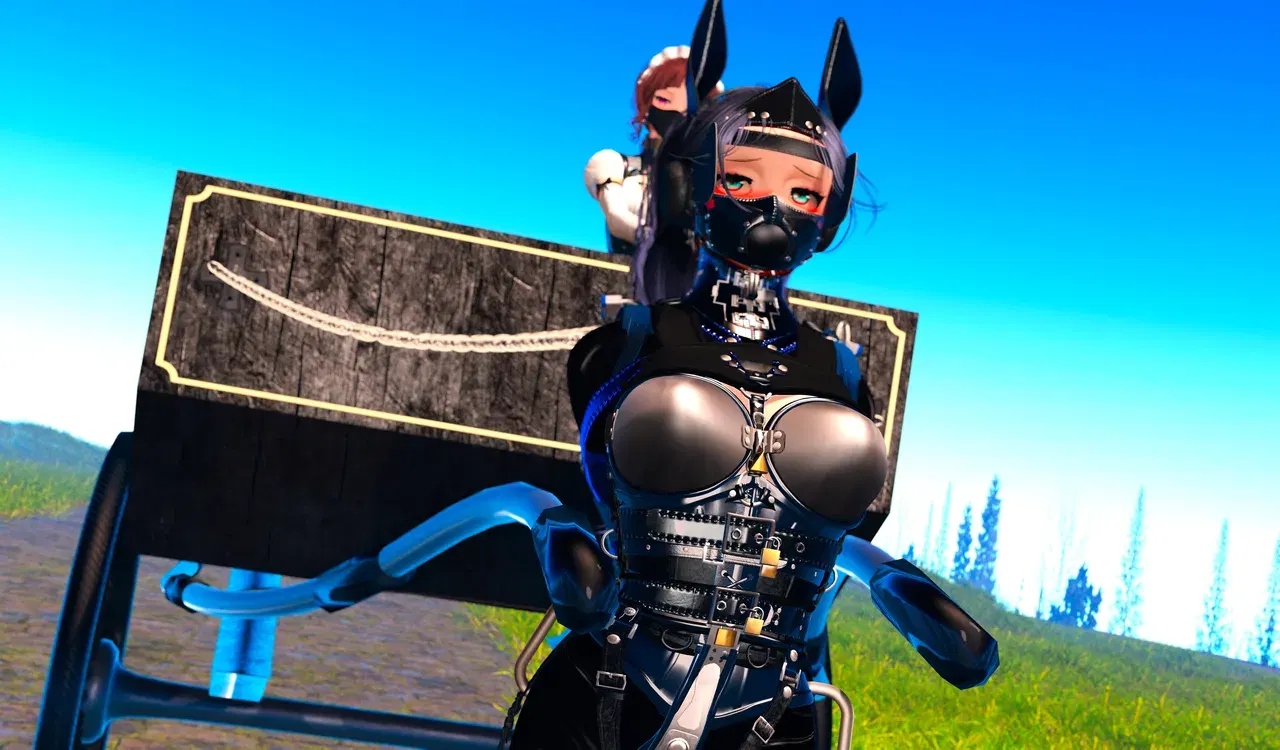 Image #145