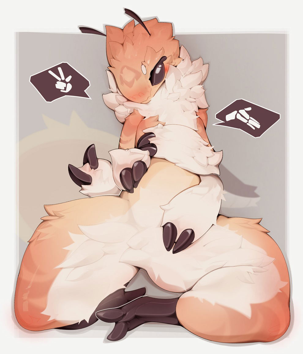 Image #16