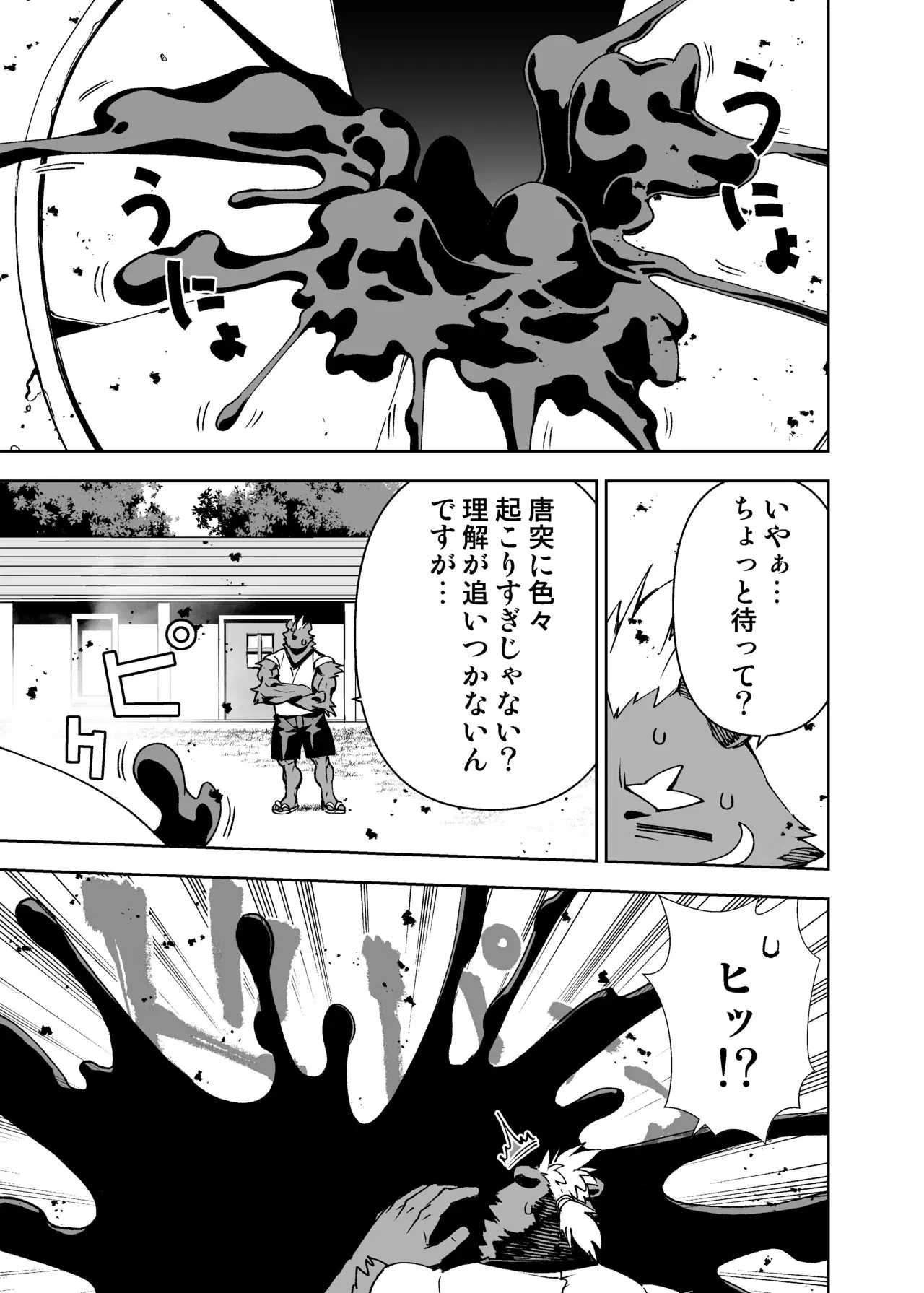 Image #12
