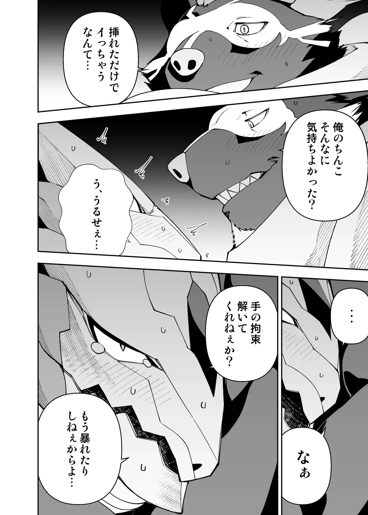 Image #72