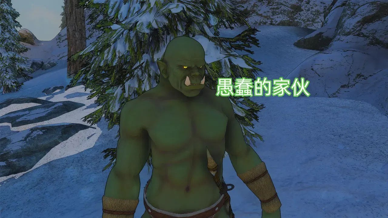 Image #28