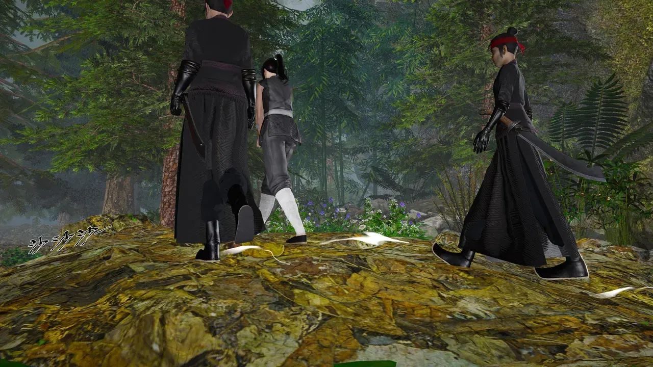 Image #12