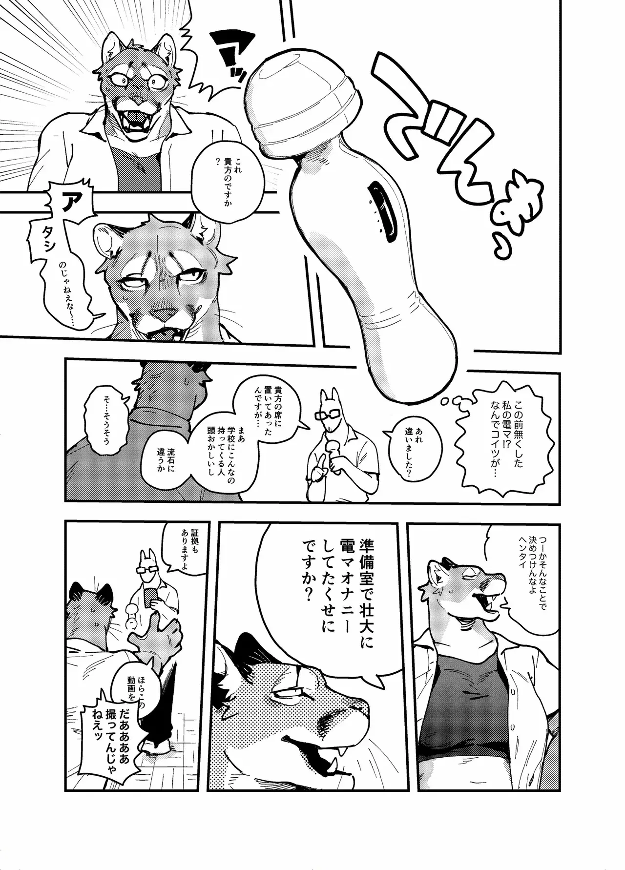 Image #29