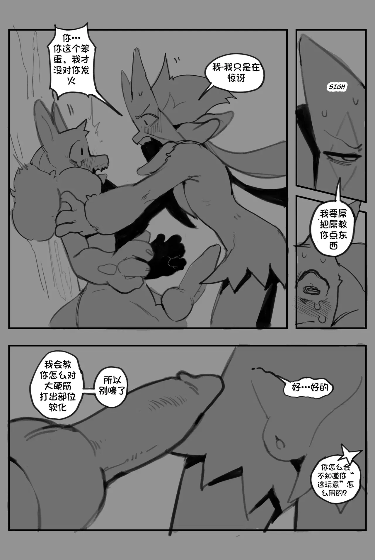 Image #14