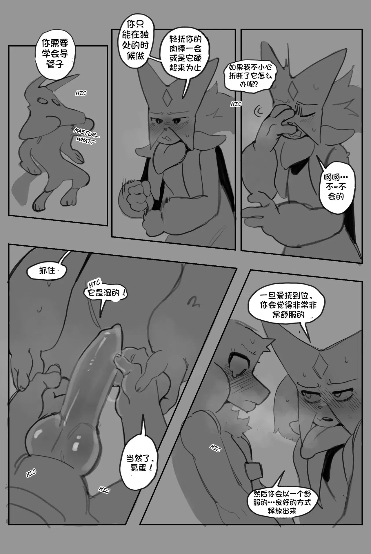 Image #15