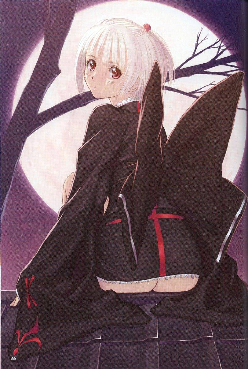 Image #14