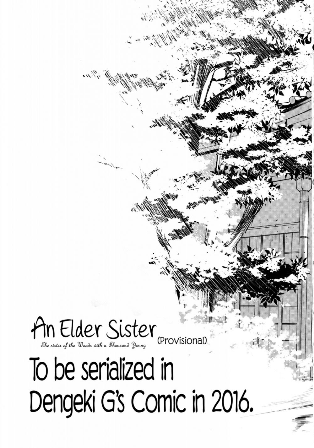 Image #25