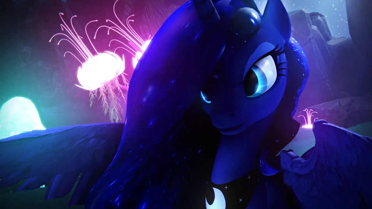 Image #232