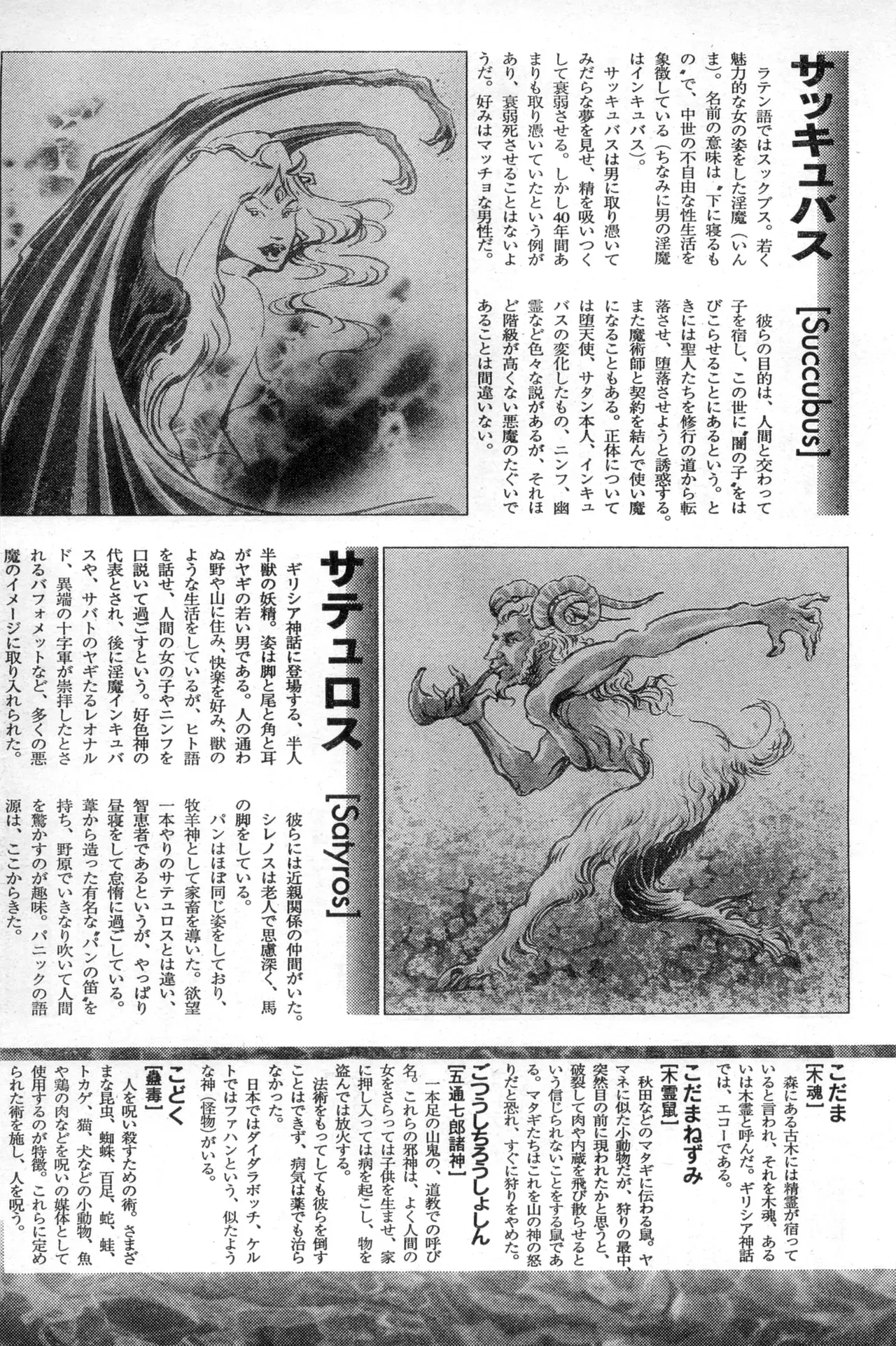 Image #245