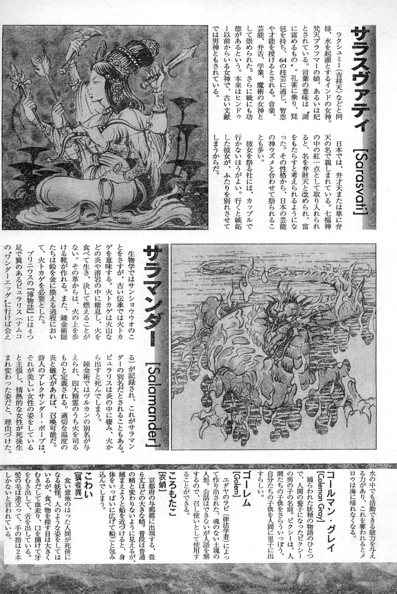 Image #247