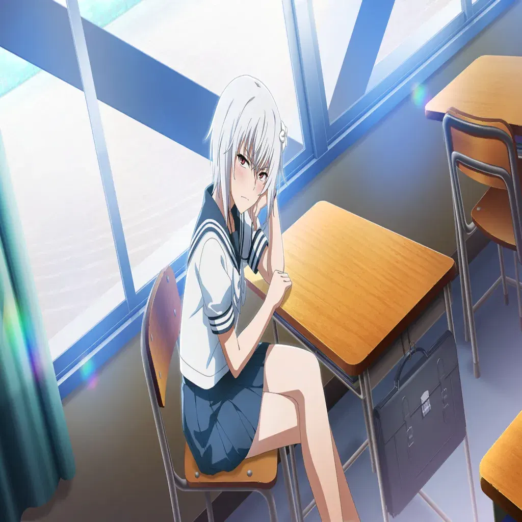 Image #507