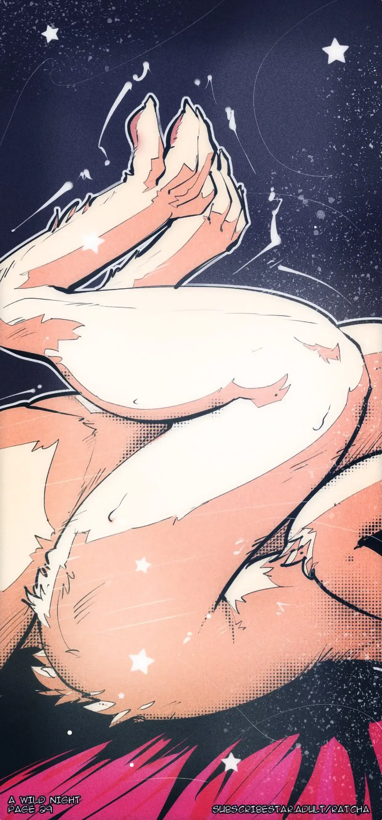 Image #29