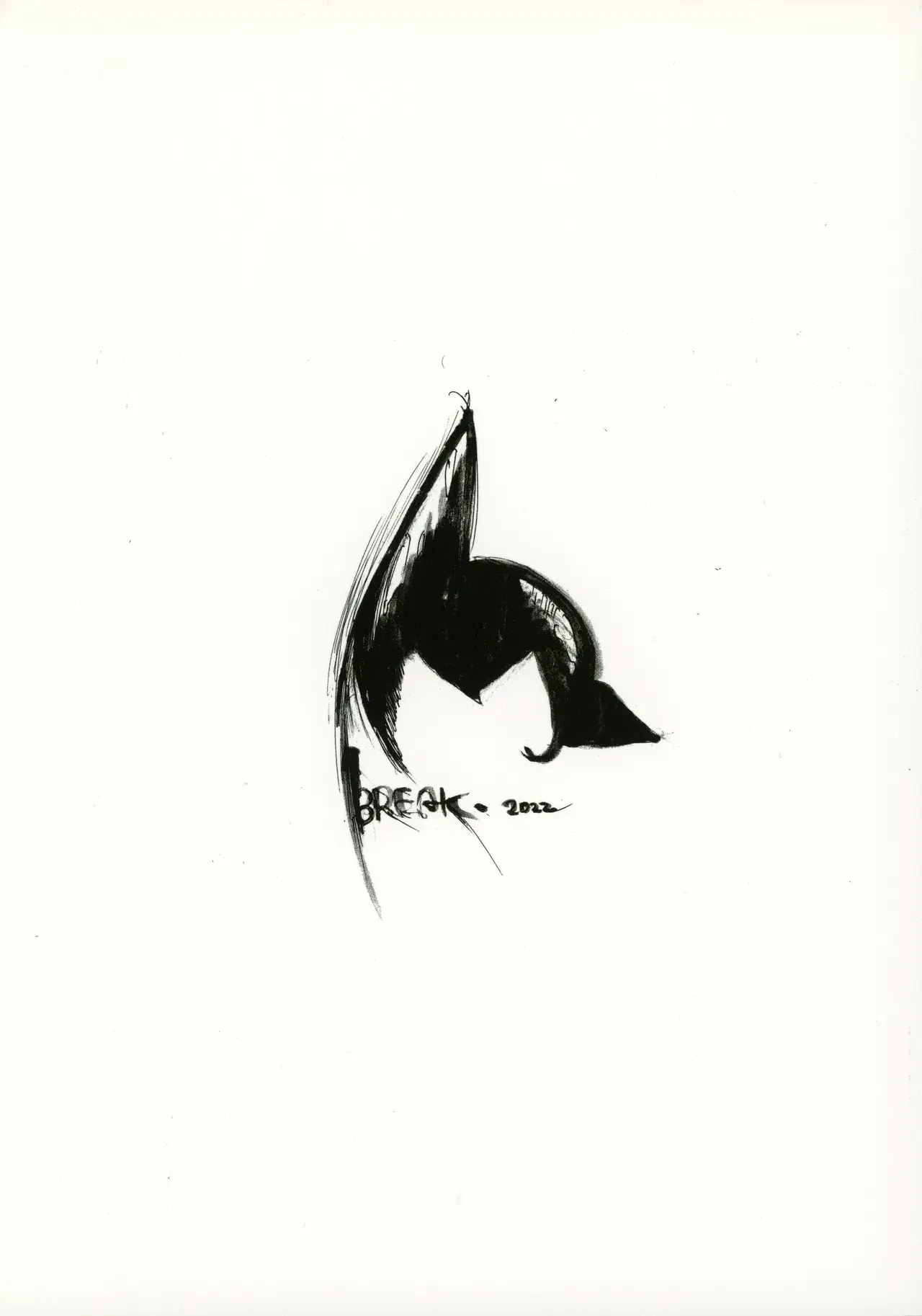 Image #34