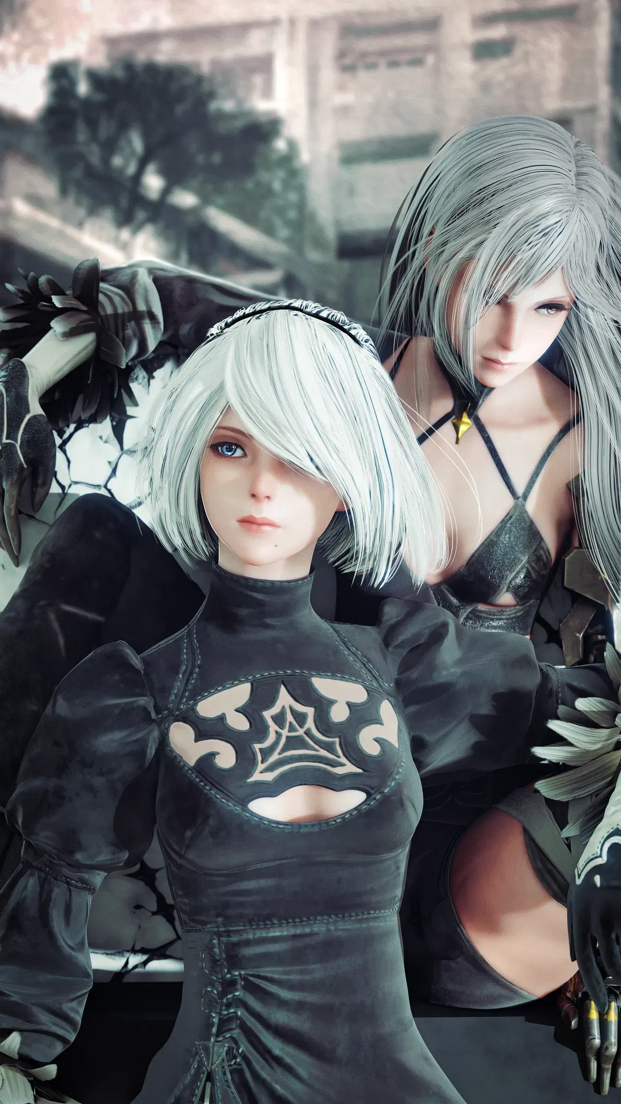 Image #233