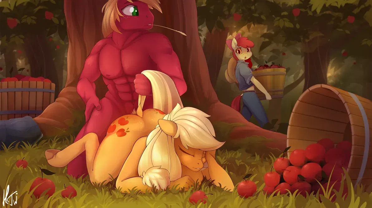 Image #12