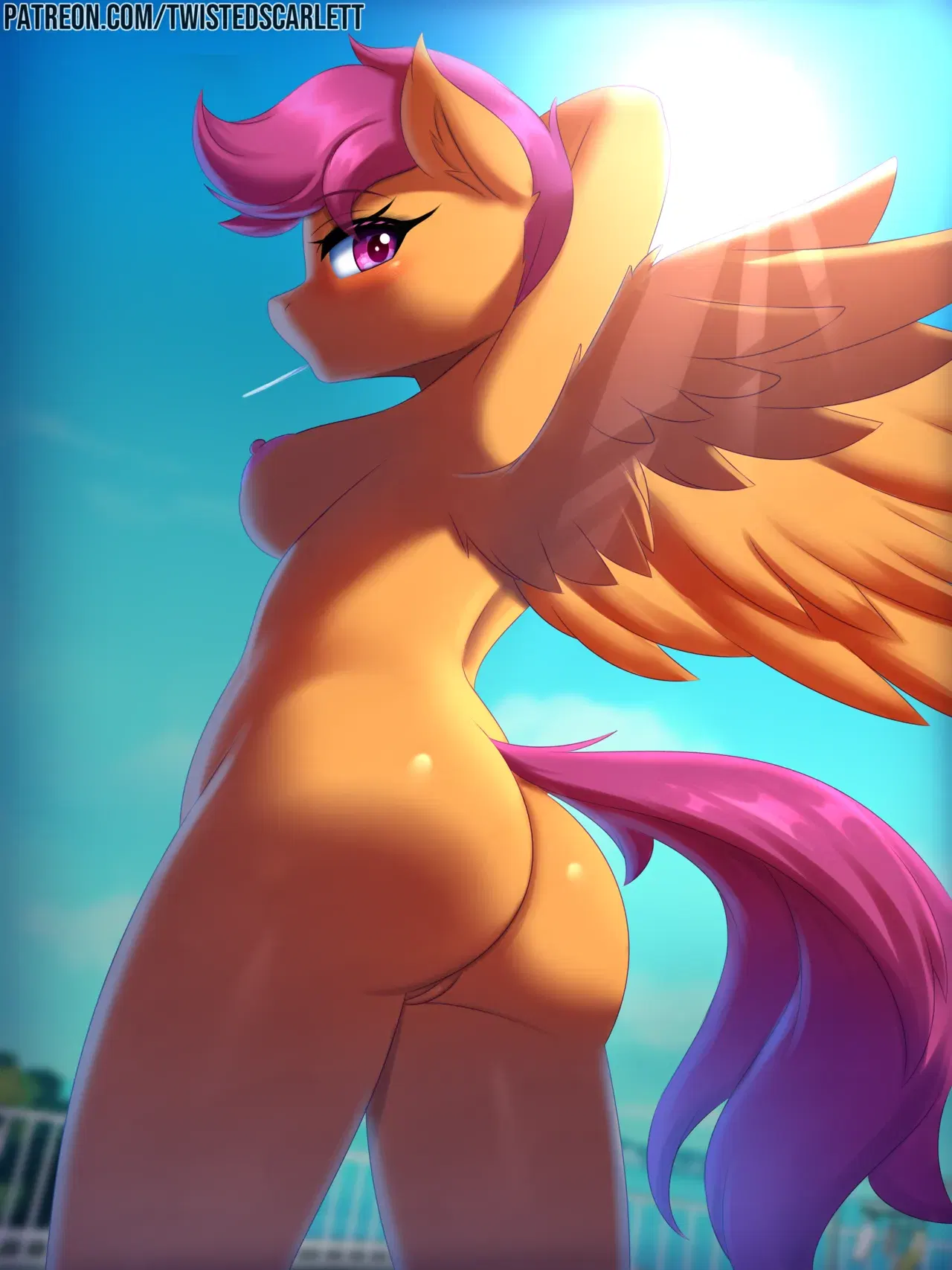 Image #749