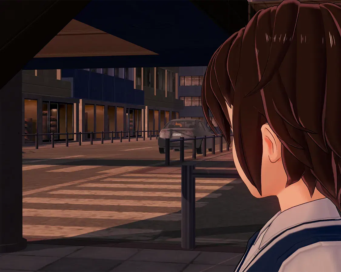 Image #47