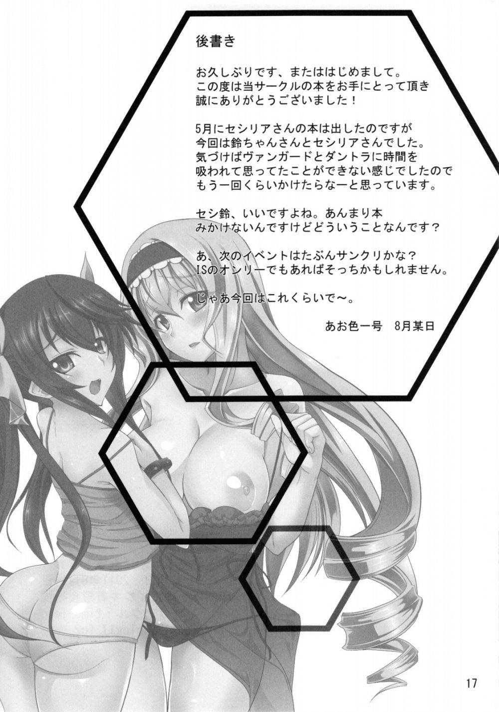 Image #16
