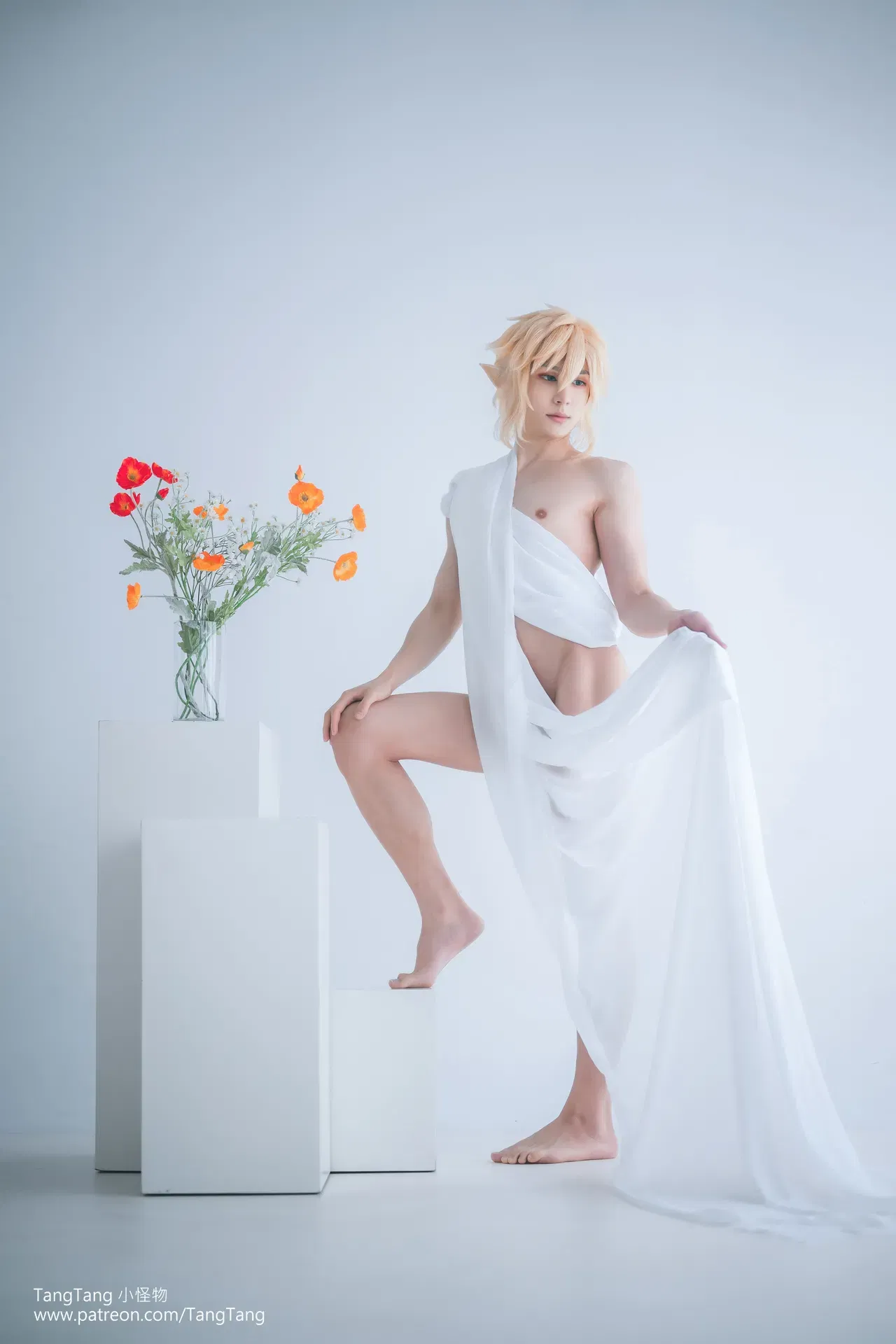 (TangTang 堂堂) Чистый классический Линк｜The Legend of Zelda - Хентай галерея