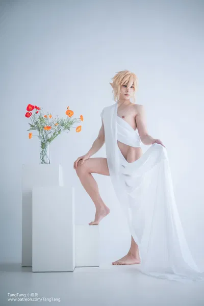 (TangTang 堂堂) Pure Classic Link｜The Legend of Zelda - Galeria Hentai