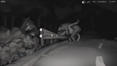 #MFtober:Cryptids (kittysonrice) - Galeria Hentai