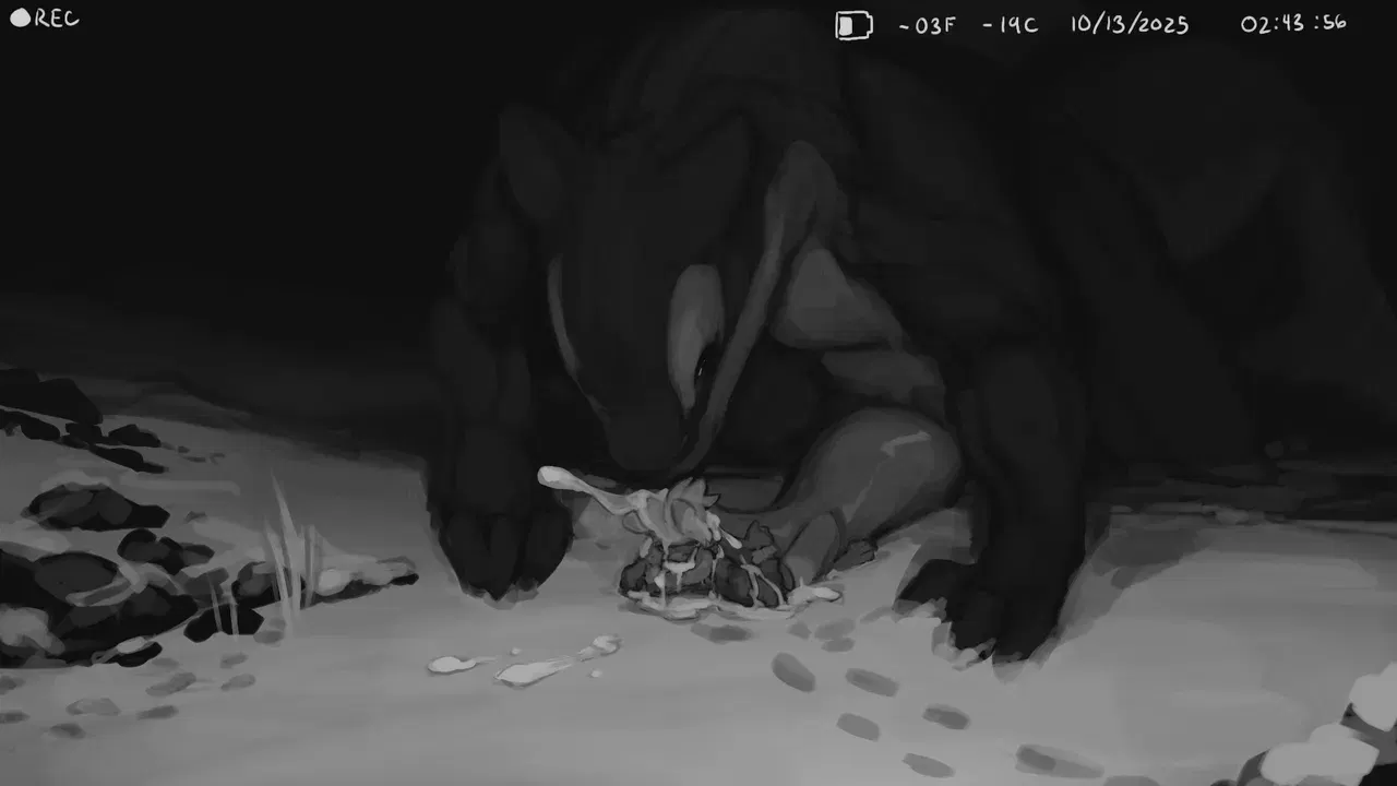 Image #13