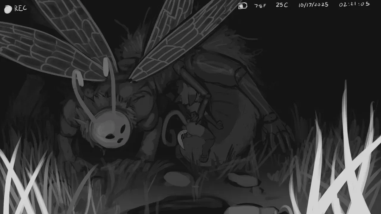Image #16