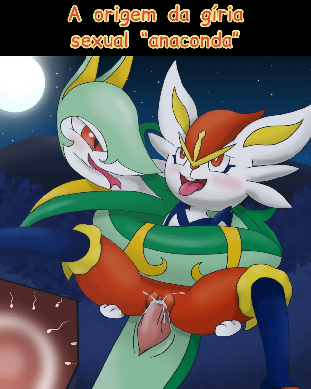 Image #535