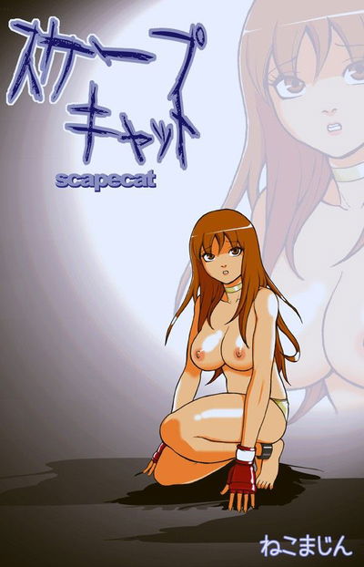 سكيب كات 1 - معرض هنتاي