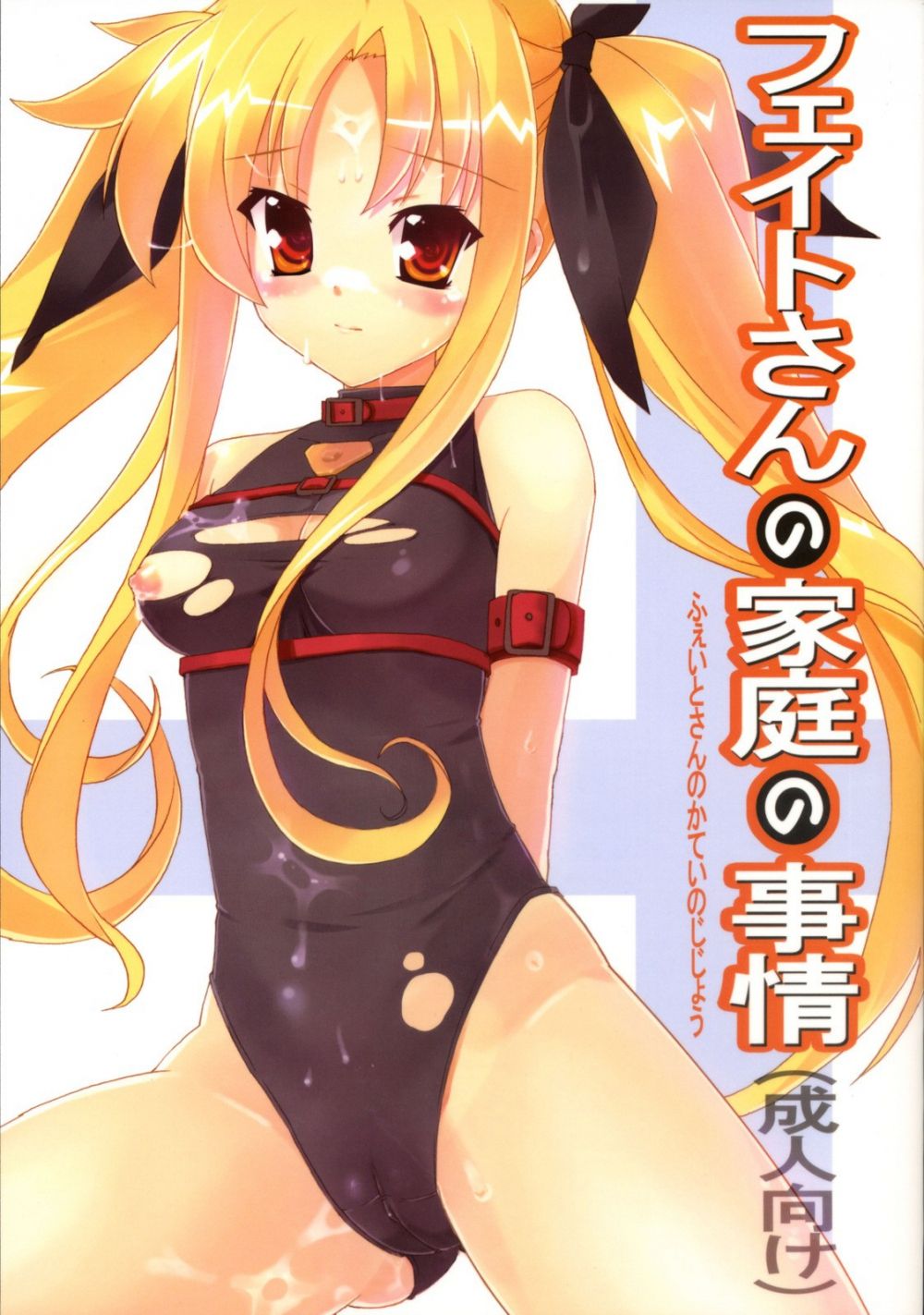 Семейные обстоятельства господина Фате - Хентай галерея